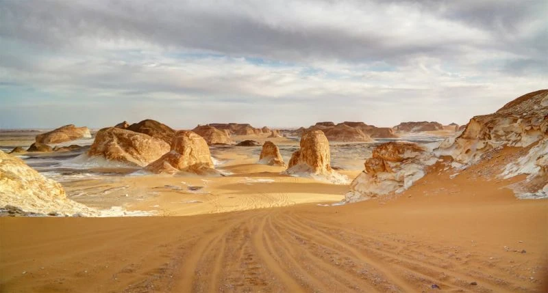 Egypt Oases