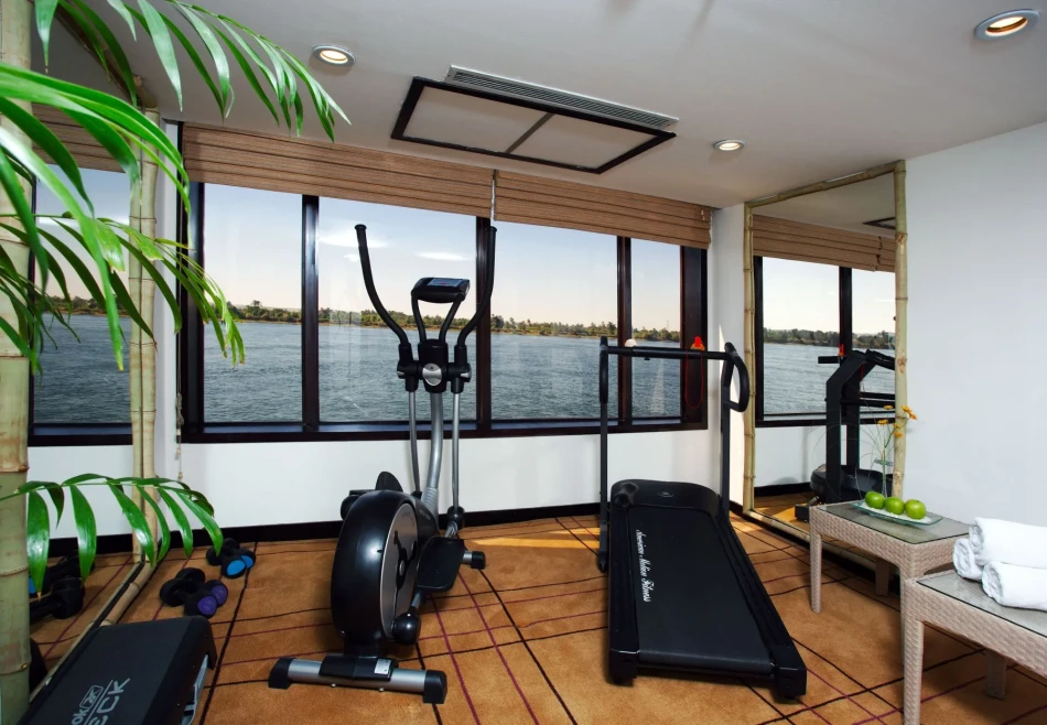 Movenpick Prince Abbas Lake Nasser Cruise GYM