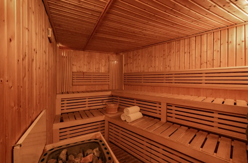 Steigenberger Omar El Khayam Lake Nasser Cruise Sauna